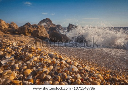 Similar – Stone beach in Brighton, England