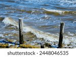 Waves, surf and old wood pilings, Chesapeake Bay 