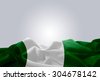 nigerian government