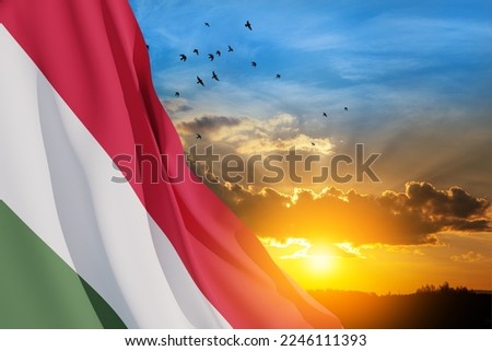 Waving flag of Hungary in sunset sky with flying birds. Independence day, National day. Background with place for your text. 3d-rendering.