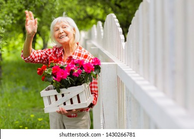 Waving To Neighbor. Beaming Beautiful Elderly Lady Waving To Her Neighbor Standing Near Fence