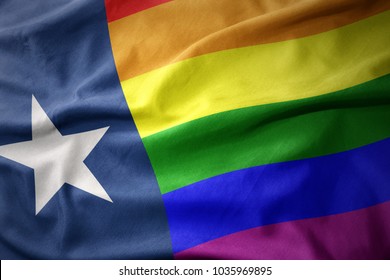 Waving Texas State Colorful Rainbow Gay Pride Flag Banner