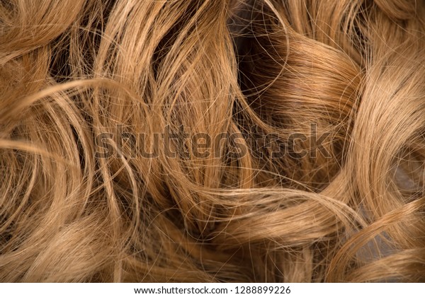 Wavy Hair Tangled Hair Chestnut Color Stock Photo Edit Now