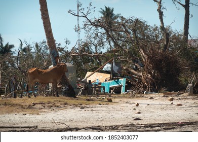 Wawa Bar In Rubble After Hurricane Eta Path