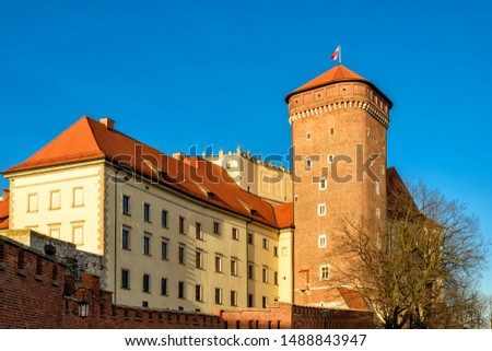 Wawel in Krakow in Poland in Europe