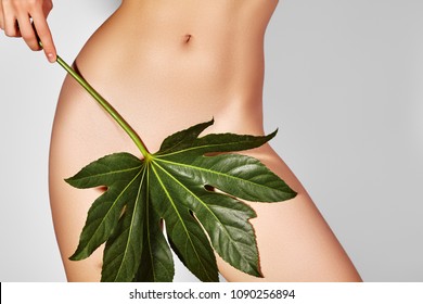 Waxing For Beautiful Woman. Brazilian Laser Hair Removal Bikini Line An Sexy Body Shapes. Body Care And Clean Skin. Sexy Woman In Spa