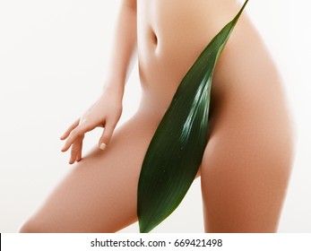 Line Hair Removal Stock Photos Images Photography Shutterstock