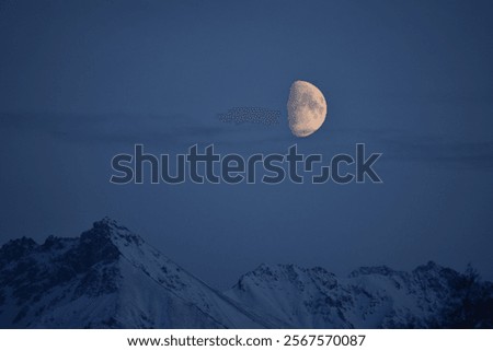 Similar – Image, Stock Photo waxing moon Evening