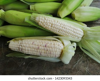 Waxy Corn, organic farm in thailand. - Shutterstock ID 1423093343