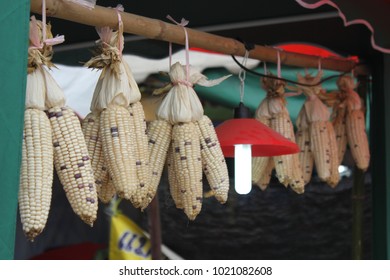 Waxy or glutinous corn kernel white and purple in one ear hang on the wood.