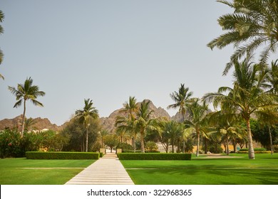 Way to beach in tropical resort. - Powered by Shutterstock