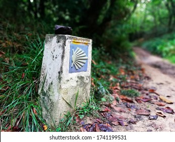 Way Of The Camino De Santiago, Shell Sign