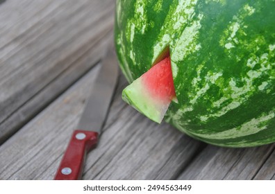 a way to check the ripeness of a watermelon by cutting out a piece with a knife. checking a watermelon for ripeness - Powered by Shutterstock