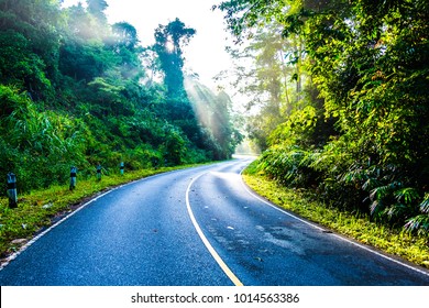 way to the forest 