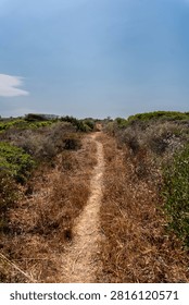 way going somewhere in dunes 