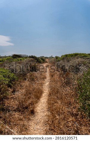 way going somewhere in dunes 