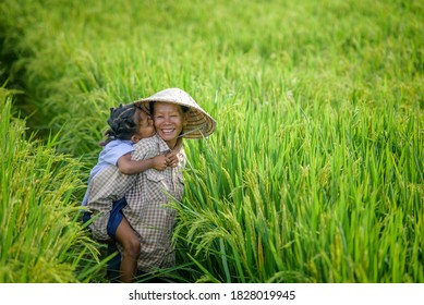 Way of life of Asian farmers and rice fields in Vietnam
