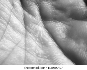 white human skin texture