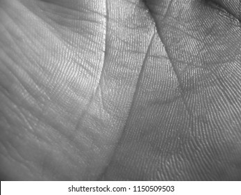 white human skin texture