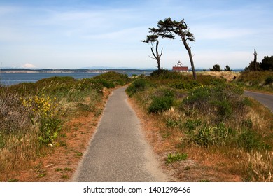 Way to the lighthouse and tree