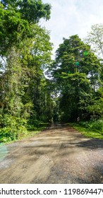 Way Road To Danum Valley Conservation Centre Area, Lahad Datu. Sabah. Borneo Malaysia