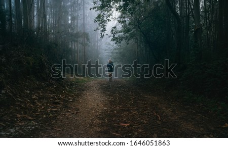 Way of Saint James in Nothern Spain. Pilgrim backpacker female going by the path through Eucalyptus forest back view image shoot. Holy places pilgrimage concept image.
