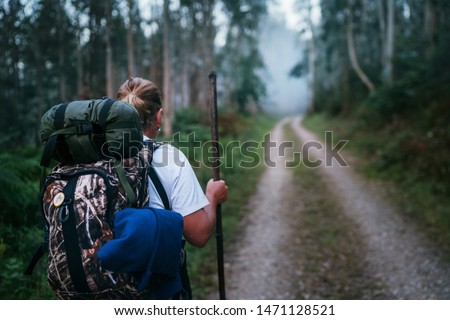 Way of Saint James pilgrim backpacker female going by the path through Eucalyptus forest  back view image shoot.