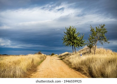 The Way of St James Pilgrim Trail Camino de Santiago at Early Golden Hour with Trees and Clouds