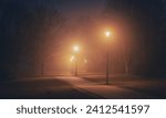 Way through the park with the orange illuminated street lamps at night in germany