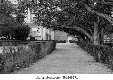 Way under the trees