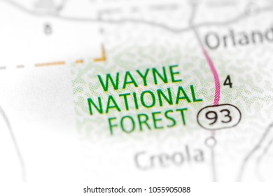 Wayne National Forest. Ohio. USA