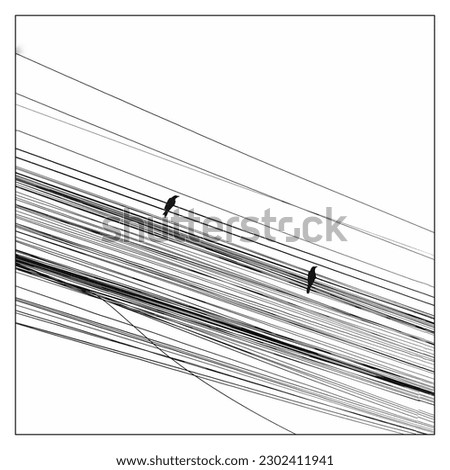 Similar – Image, Stock Photo 9 lines and a bird Nature