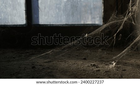 We haven't wiped the dust for a long time. Silvery spider webs glow in the sun in the corner of retro vintage window and sill. Window covered with cob web, spider web on old wall and dusty windowsill