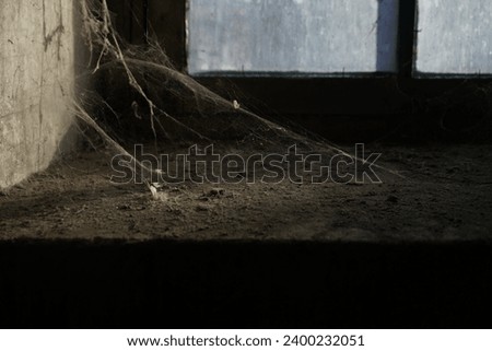 We haven't wiped the dust for a long time. Silvery spider webs glow in the sun in the corner of retro vintage window and sill. Window covered with cob web, spider web on old wall and dusty windowsill