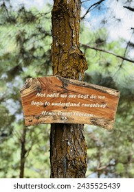 “Nitbuntil we are lost do we begin to understand ourselves” - Henry David Thoreau