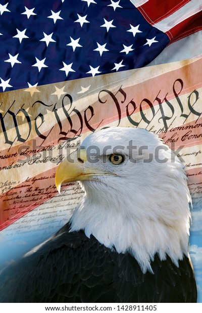 We People American Bald Eagle Flag Stock Photo (Edit Now) 1428911405