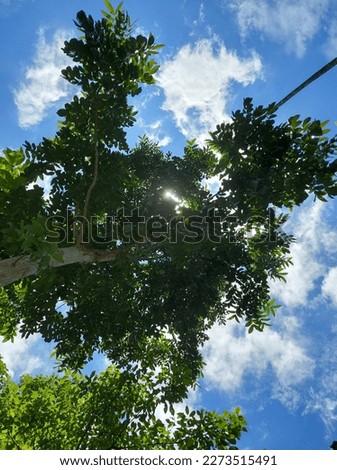 We still do not know one thousandth of one percent of what nature has revealed to us.
