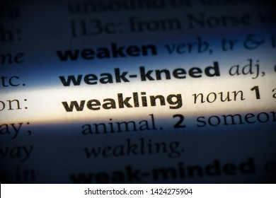 Weakling Word In A Dictionary. Weakling Concept, Definition.