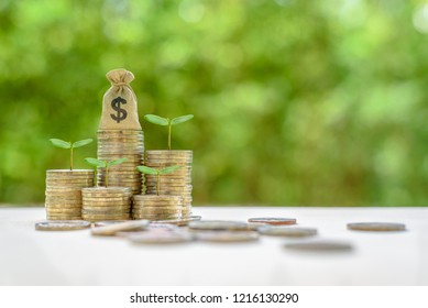 Wealth Or Asset Management And Growth Investing Concept : US Dollar Money Bags, Green Sprout On Coins, Depicts Investment / Strategy Focused On Growth Of An Investor's Capital, Invest In Growth Stocks