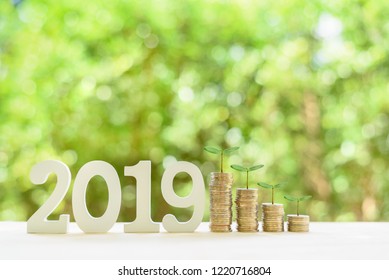 Wealth Or Asset Management And Growth Investing Concept : Young Green Sprout On Coins, Depicts Investment / Strategy Focused On Growth Of An Investor's Capital, Invest In Common Stocks, New Year 2019