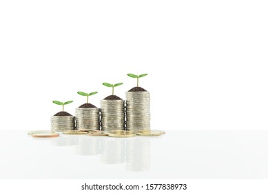 Wealth Creation, Strategies For Financial Success Concept : Small Tree / Sprout Grow On Stacks Of Rising Coins, Depicts Money Growth From Investing In Perpetual Income Portfolio And Risk Free Assets