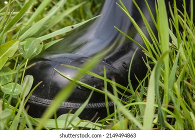 Wear Rubber Boots When Hiking Through The Meadows And Nature Because They Offer Good Protection Against Ticks That Lurk Everywhere In The Grass For Their Victims.


