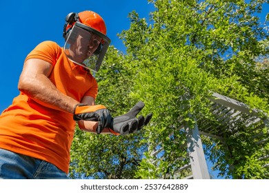 Wearing protective gear, a gardener gets ready to trim the branches of a tree on a bright sunny day in the garden. Safety is a top priority during this task. - Powered by Shutterstock