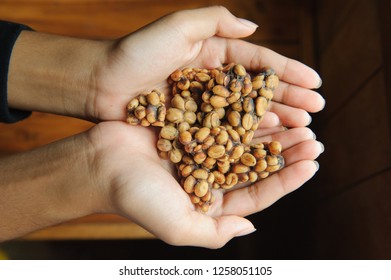 Weasel Coffee Beans On Hands