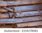 Weasel on a tree log