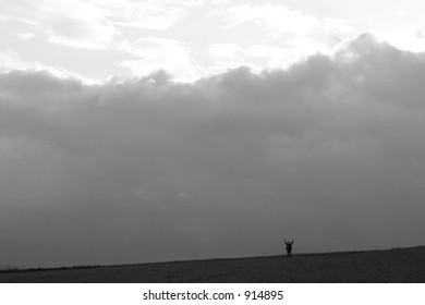 weather
