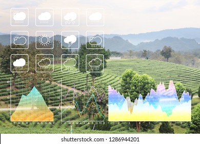 Weather Forecast Symbol Data Presentation With Graph And Chart On Freshness Clean Nature Green Morning Background.