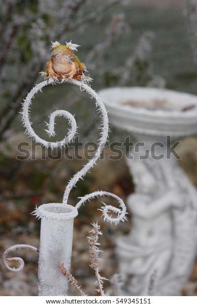 Weather Frog Winter Garden Statue Background Stock Photo Edit Now