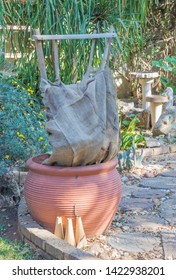 Weather Sensitive Plants Are Covered As Protection Against Winter Frost In The Highveld Region Of Gauteng In South Africa Image In Portrait Format