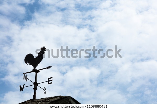 A weather vane, wind vane, or weathercock is an\
instrument for showing the direction of the wind. It is typically\
used as an architectural ornament to the highest point of a\
building.